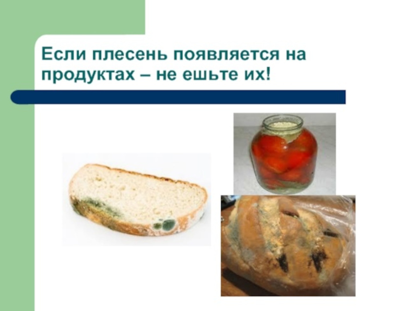 Можно ли есть плесень. Появилась плесень. Условия появления плесени на продуктах. Памятка про плесень. Плесень на хлебе как называется.